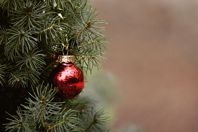 Gør dit juletræ unikt med Twinkly's smarte juletræskæde